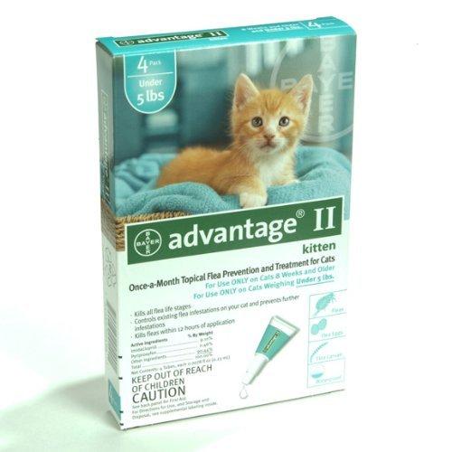 Advantage 2 Kitten - PawsPlanet Australia