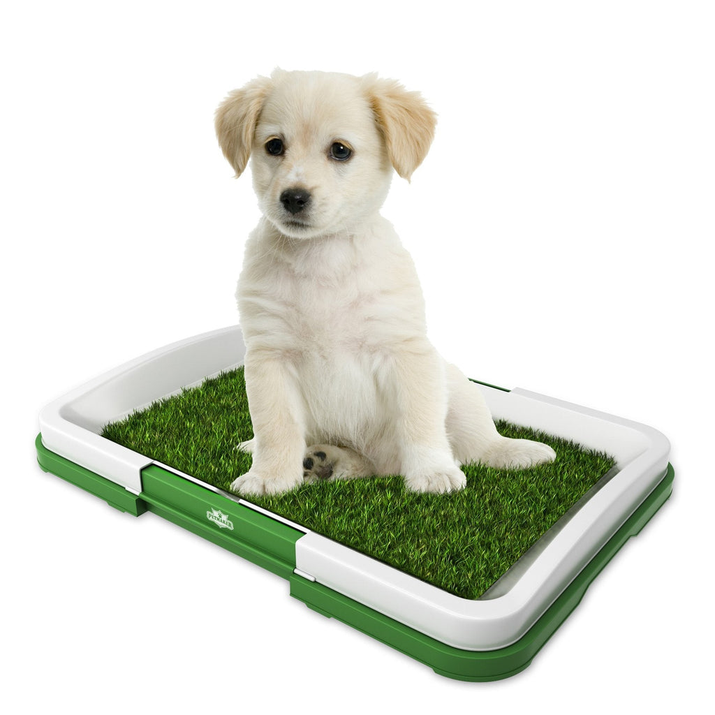 [Australia] - PETMAKER Puppy Potty Trainer 