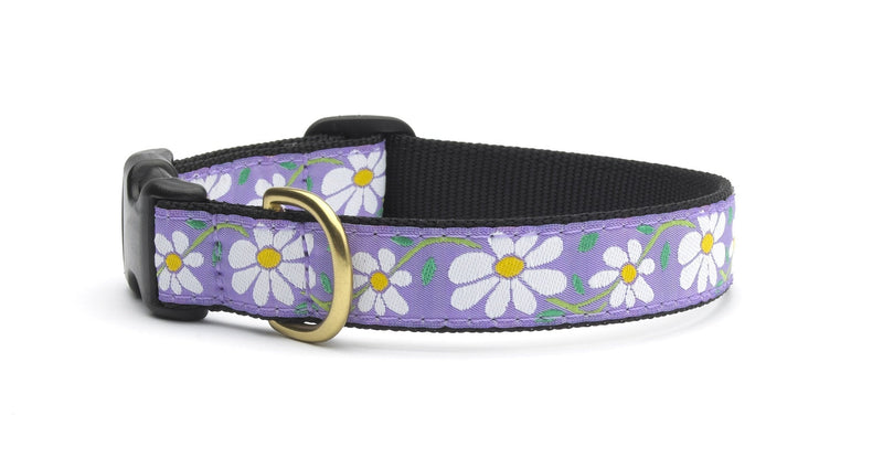 [Australia] - Up Country Daisy Collar l 