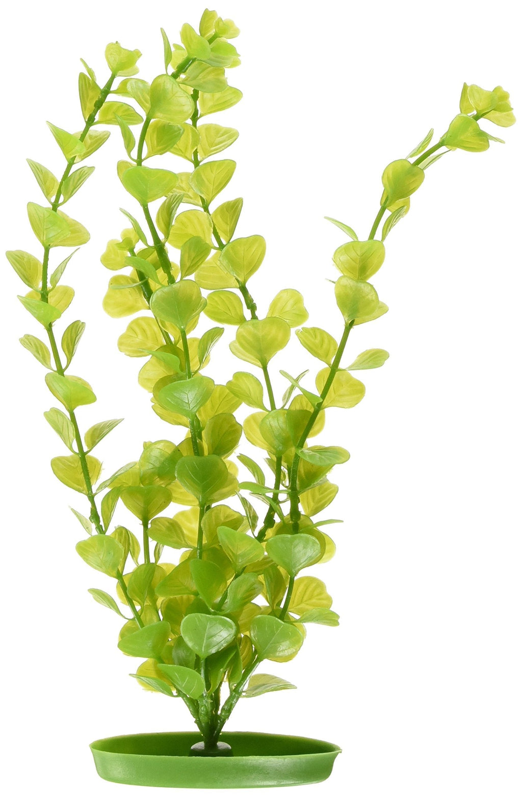 [Australia] - Marina Aquascaper Moneywort Large Plant, 12-Inch 