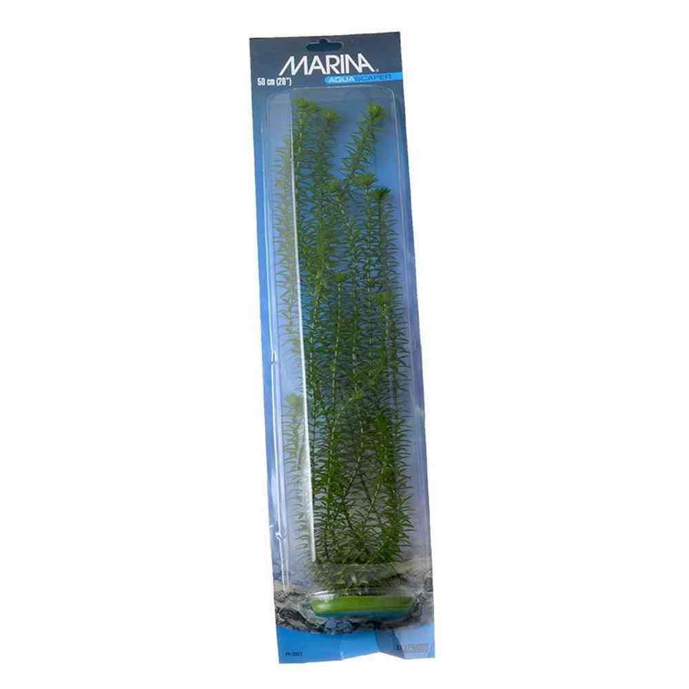 [Australia] - Marina Aquascaper Anacharis Jumbo Plant, 20-Inch 