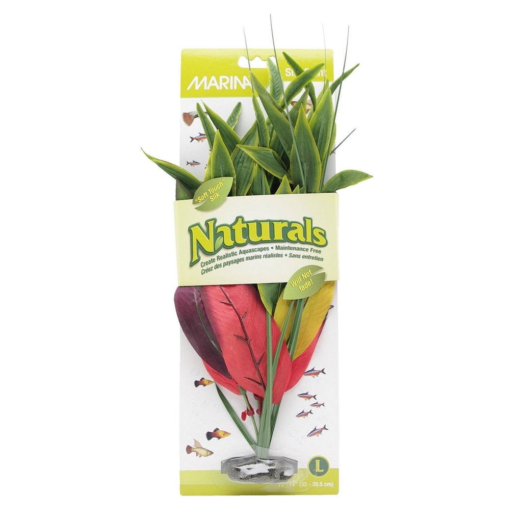 [Australia] - Marina Naturals Dracena Silk Plant, Large, Red/Yellow 