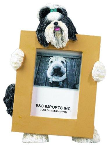 [Australia] - Shih Tzu, Black and White Picture Frame Holds Your Favorite 2.5 by 3.5 Inch Photo, Hand Painted Realistic Looking Shih Tzu Stands 6 Inches Tall Holding Beautifully Crafted Frame, Unique and Special Shih Tzu Gifts for Shih Tzu Owners 