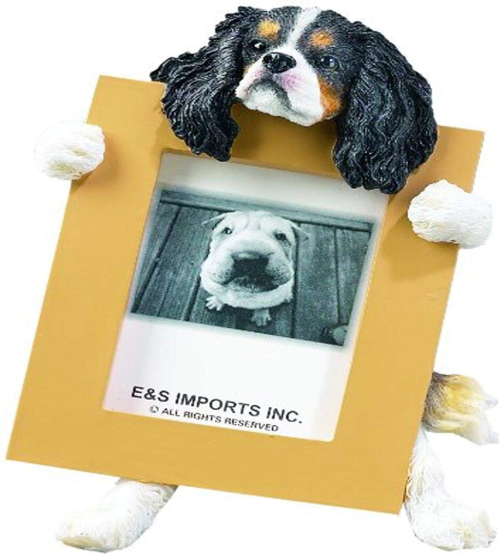 [Australia] - Cavalier King (Tri-Color) Charles Spaniel 2.5" x 3.5" Picture Frame 