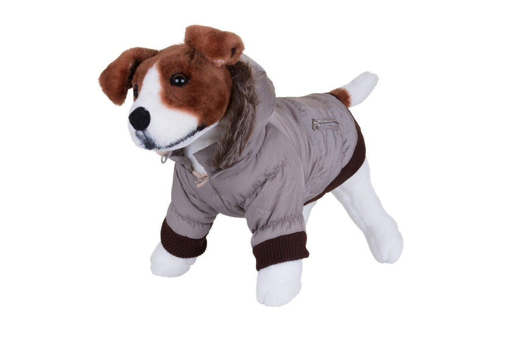 Pet Life Fashion Parka with Removable Hood - Grey Metallic - X-Small Gray Large - PawsPlanet Australia