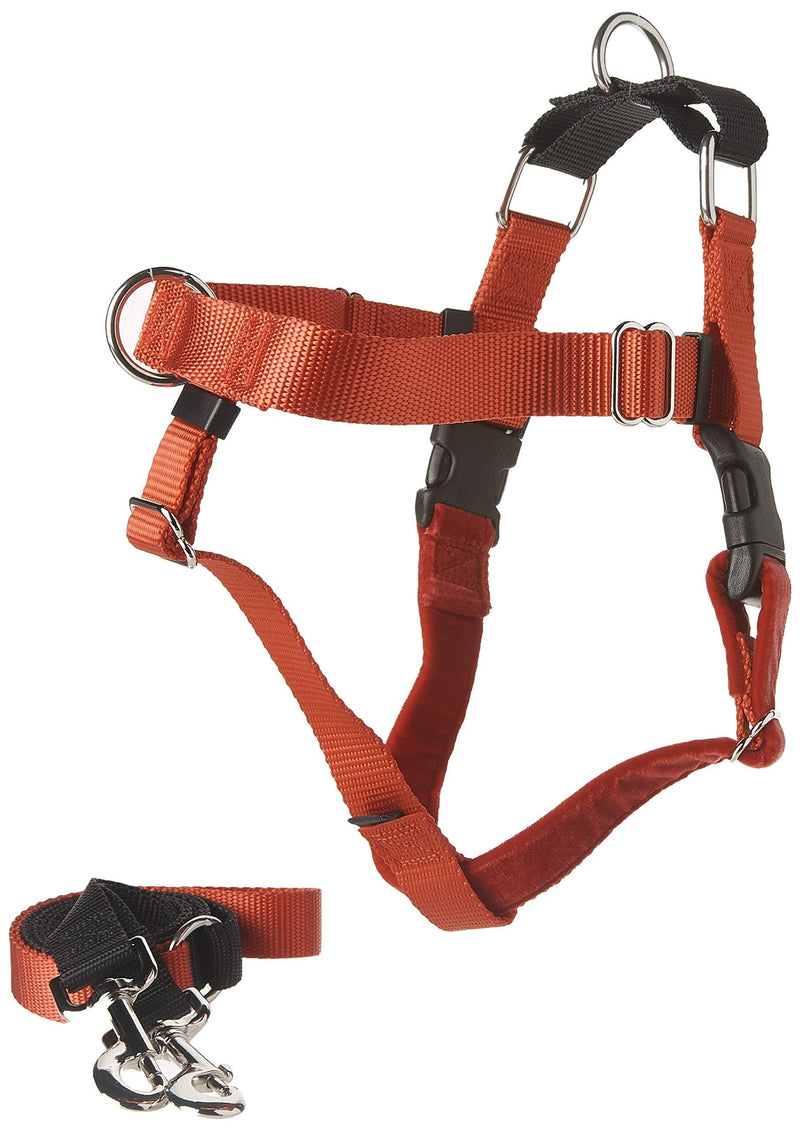 [Australia] - 2 Hounds Design Freedom No-Pull Dog Harness with Leash, Medium, 1-Inch Wide, Red 