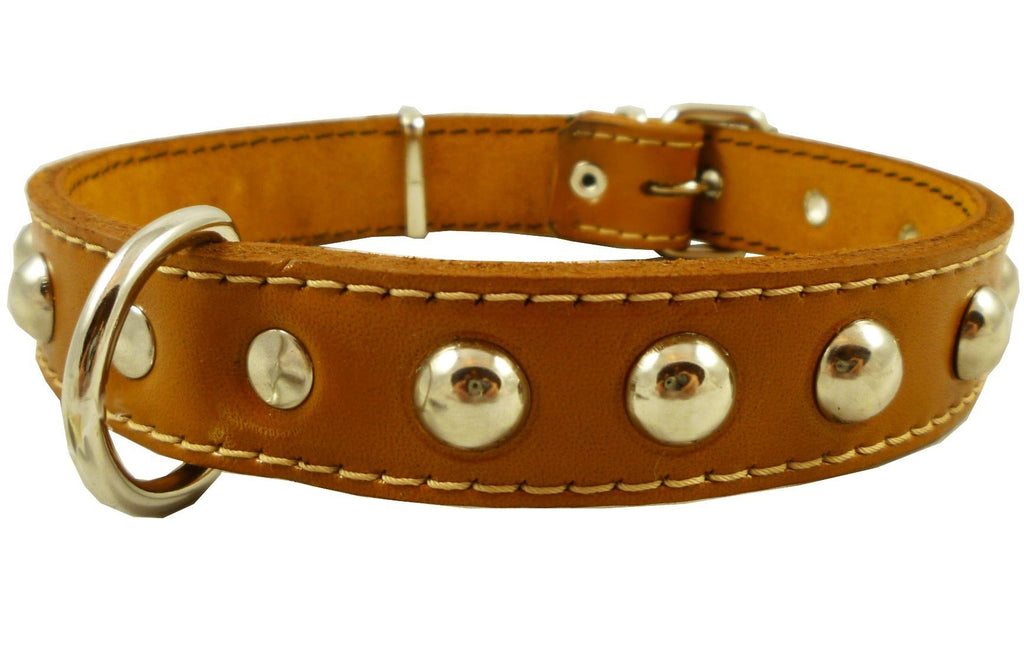 [Australia] - Genuine 1" Wide Thick Leather Studded Dog Collar. Fits 14"-17" Neck, Medium Breeds. 