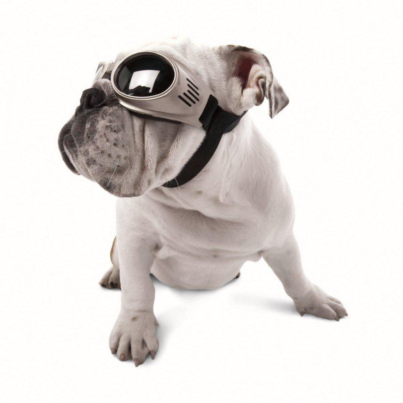 Doggles Originalz Medium Chrome Frame / Smoke Lenses - PawsPlanet Australia