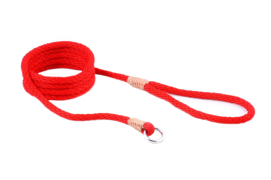 [Australia] - Alvalley Nylon Slip Lead for Dogs 8mm X 183cm or 5/16in X 6ft Red 