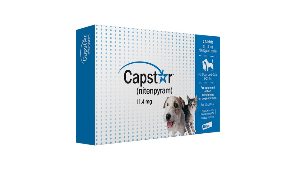 Capstar Fast-Acting Oral Flea Treatment for Dogs - PawsPlanet Australia