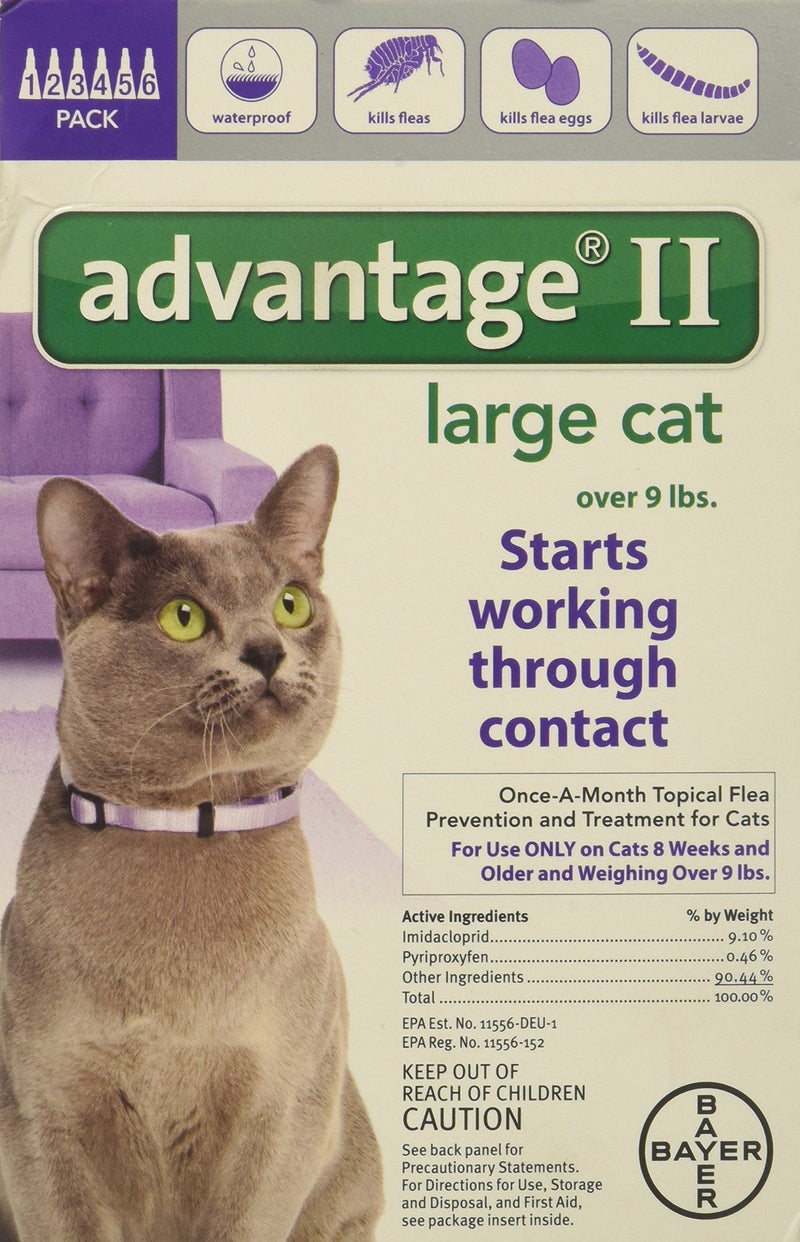 Bayer Advantage II, Cat, Over 9 lbs, 6pk - PawsPlanet Australia