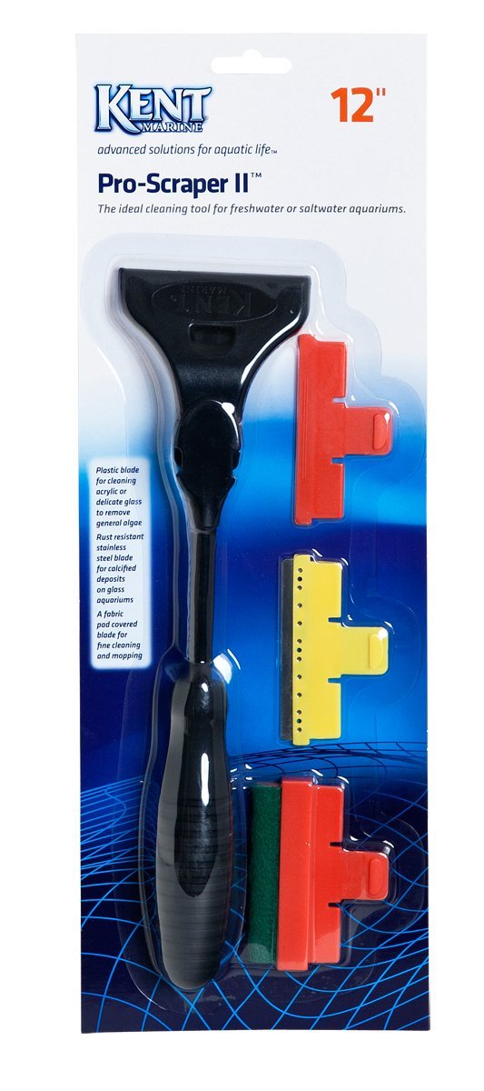 Kent Marine Pro-Scraper II 12-Inch Standard Packaging - PawsPlanet Australia