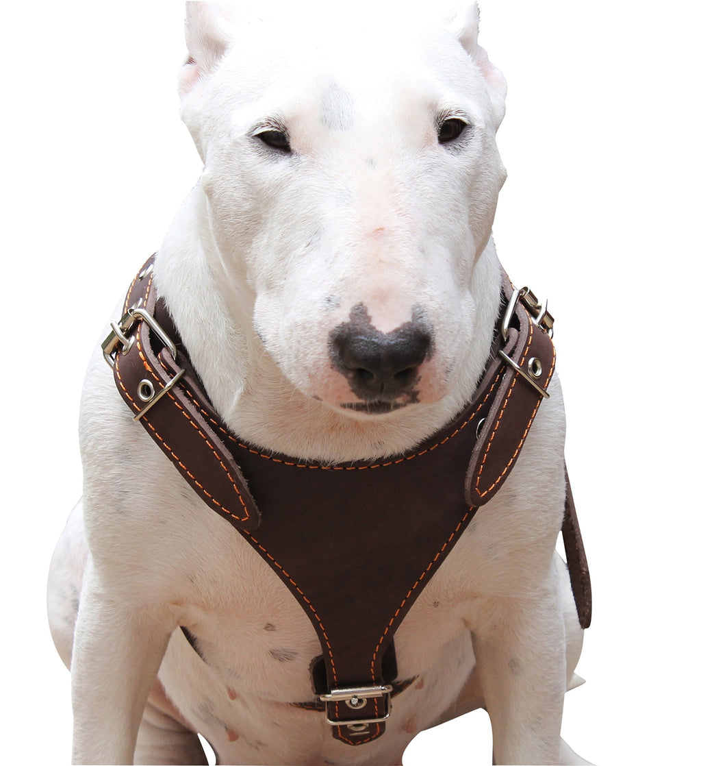 [Australia] - Brown Genuine Leather Dog Harness, Medium. 25"-30" Chest, 1" Wide Adjustable Straps 