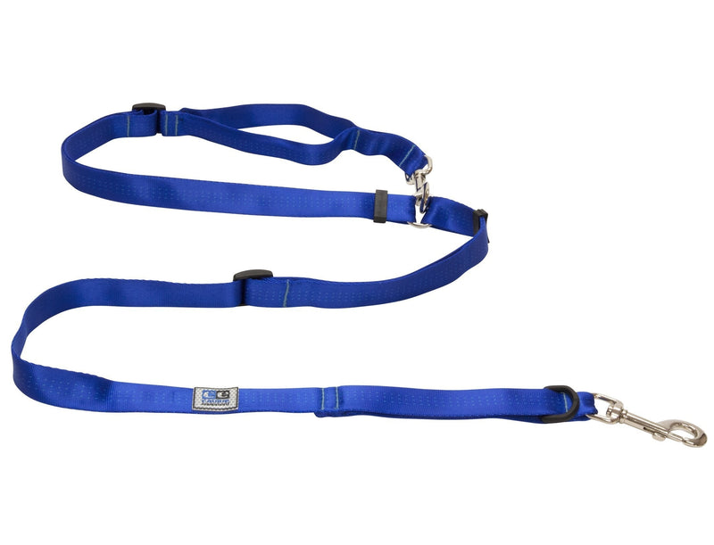 [Australia] - RC Pet Products Canine Equipment Technika Beyond Control Dog Leash 1-Inch Width Blue 