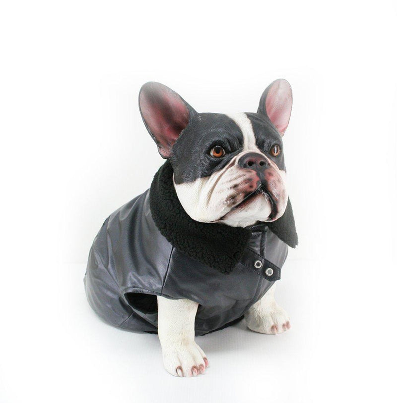 Dogit Faux Leather Bomber Dog Jacket, Medium, Charcoal - PawsPlanet Australia