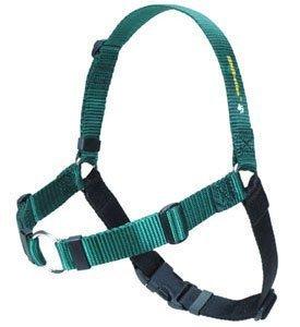 [Australia] - SENSE-ation No-Pull Dog Harness (Green, Medium/Large Wide) 