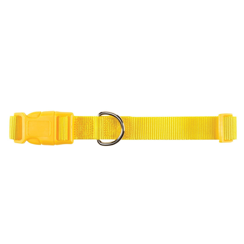 [Australia] - Zack & Zoey Nylon Pet Pet Collar - Yellow 14 to 20-Inch 