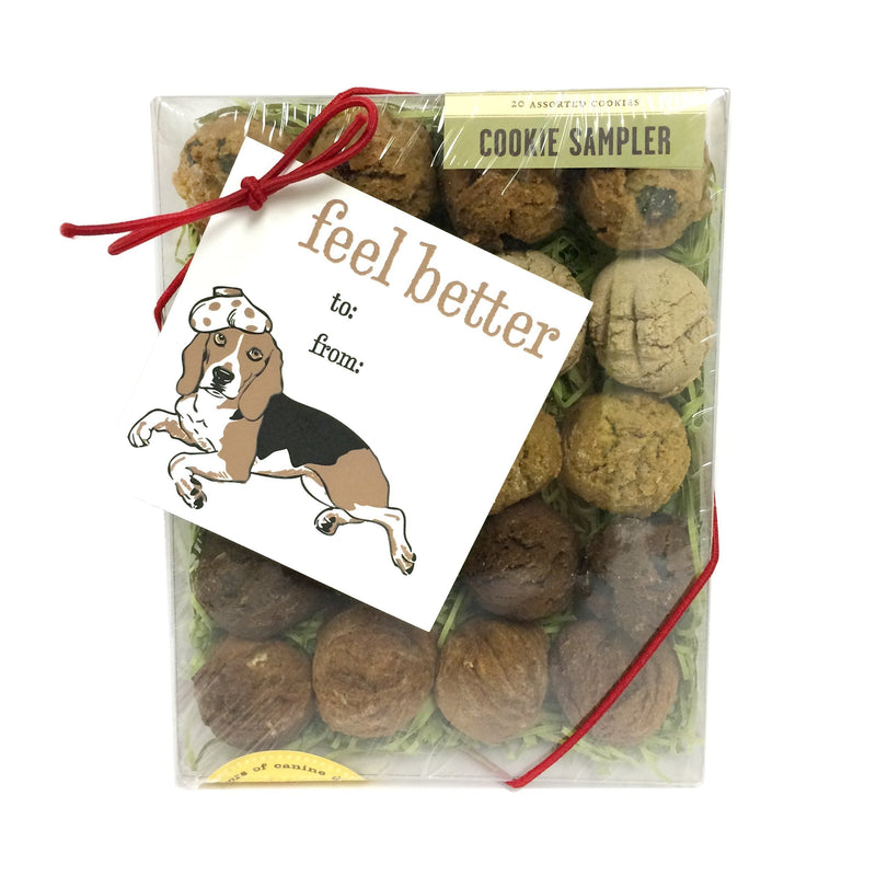 [Australia] - Feel Better Box with Gift Tag Dog Biscuits 