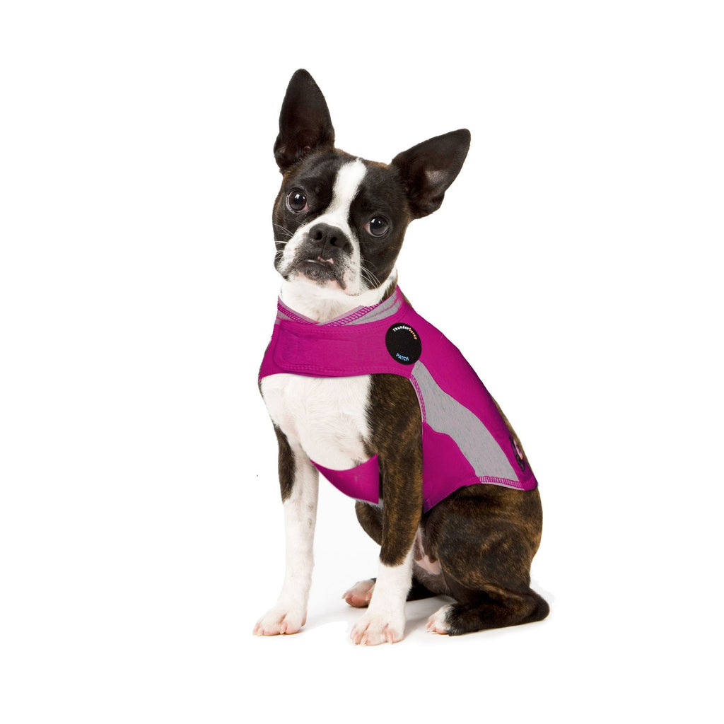 [Australia] - ThunderShirt Polo Dog Anxiety Jacket X Small (8-14 lbs) Pink 