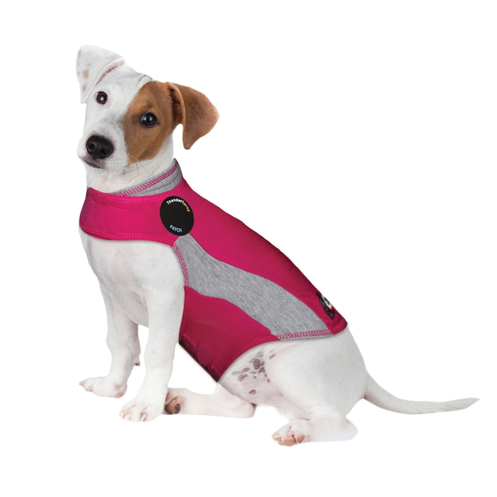 ThunderShirt Polo Dog Anxiety Jacket Small (15-25 lbs) Pink - PawsPlanet Australia