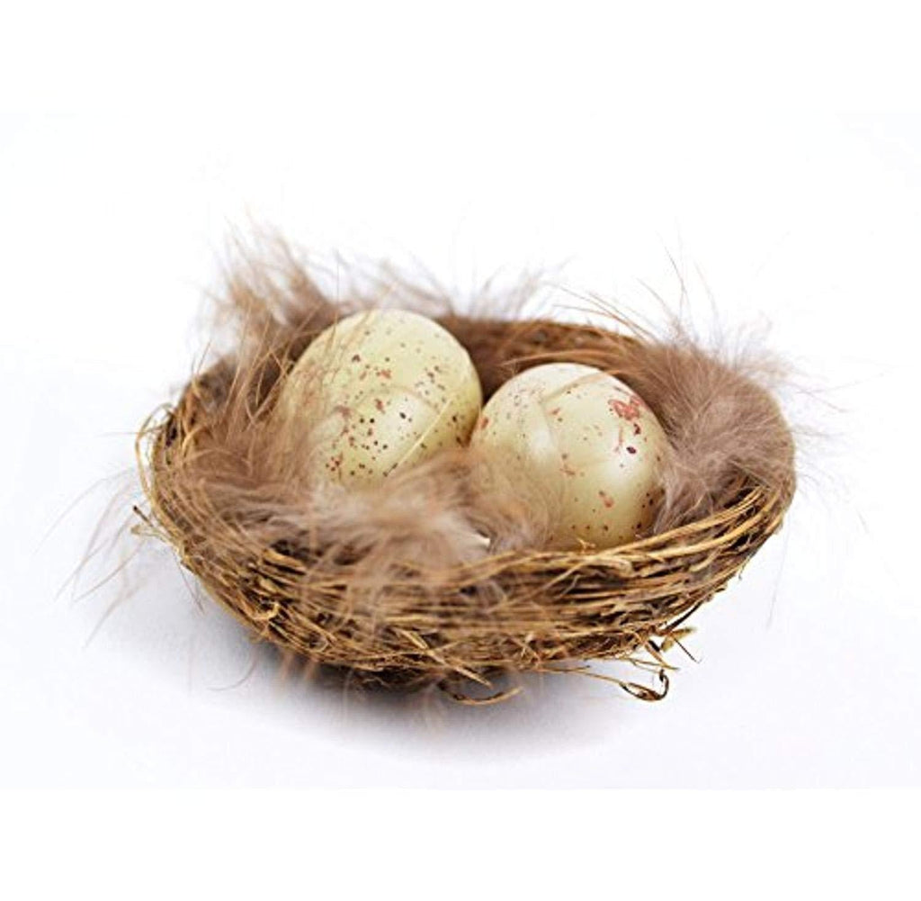 [Australia] - Touch of Nature 22220 Bird Nest with Eggs, 1-1/2-Inch 
