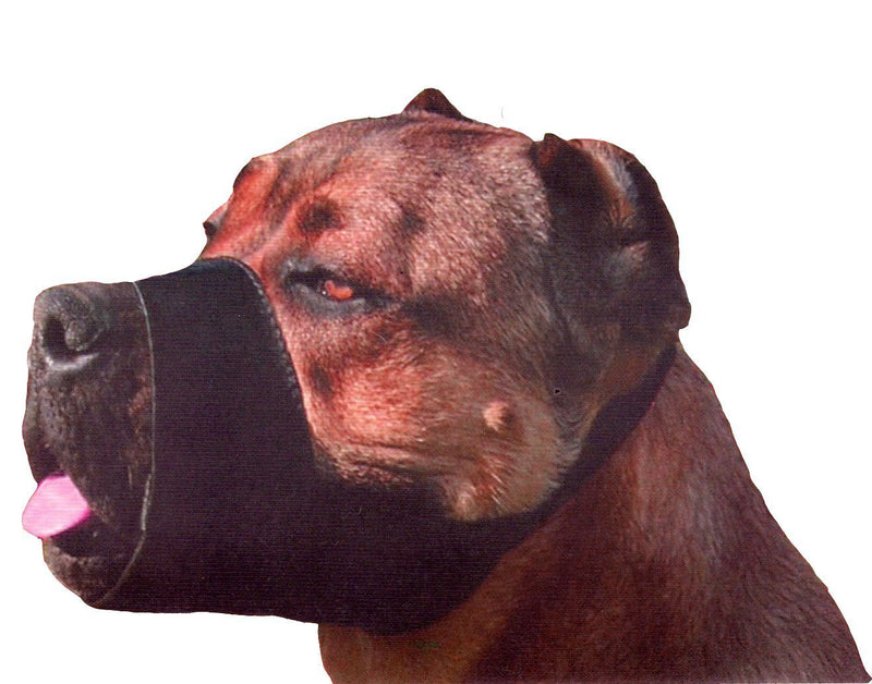 [Australia] - Quick Fit Nylon Dog Muzzle, Large Fits Snout Size 9"-10", Black 