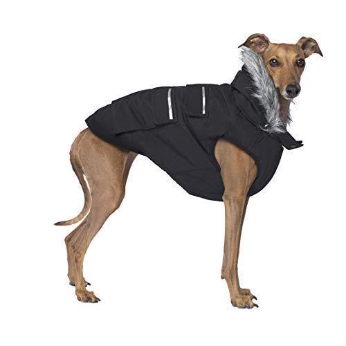 [Australia] - Canada Pooch | Everest Explorer Dog Jacket | Hooded Winter Dog Coat, Black, 12 (11-13" Back Length) 