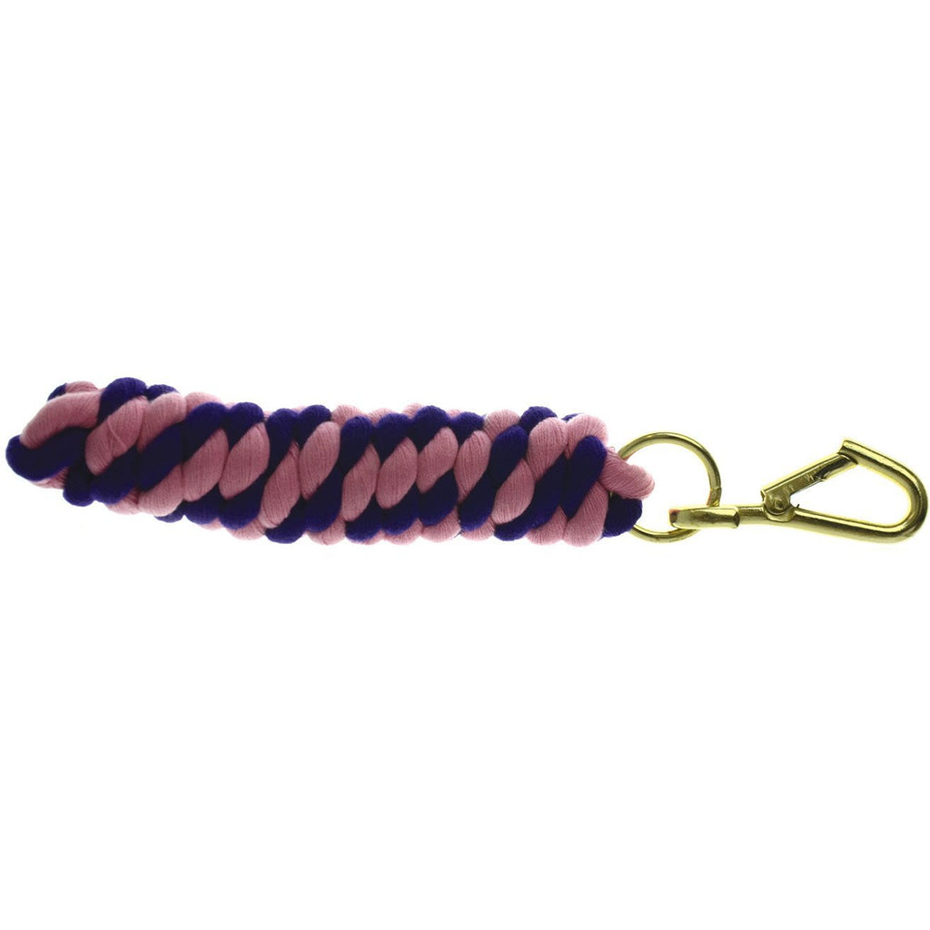 Y-H 5027286003544 Two-Tone Twisted Lead - Pink - PawsPlanet Australia