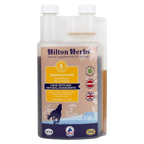 Hilton Herbs Equimmune Gold 1 Litre - PawsPlanet Australia