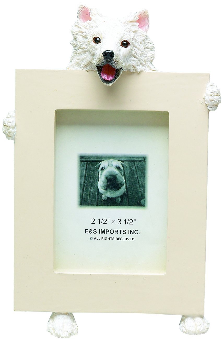[Australia] - American Eskimo Picture Frame Holds Your Favorite 2.5 by 3.5 Inch Photo, Hand Painted Realistic Looking American Eskimo Stands 6 Inches Tall Holding Beautifully Crafted Frame, Unique and Special American Eskimo Gifts for American Eskimo Owners 