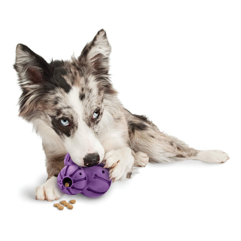 [Australia] - PetSafe Busy Buddy Barnacle Treat Dispensing Dog Toy Medium 