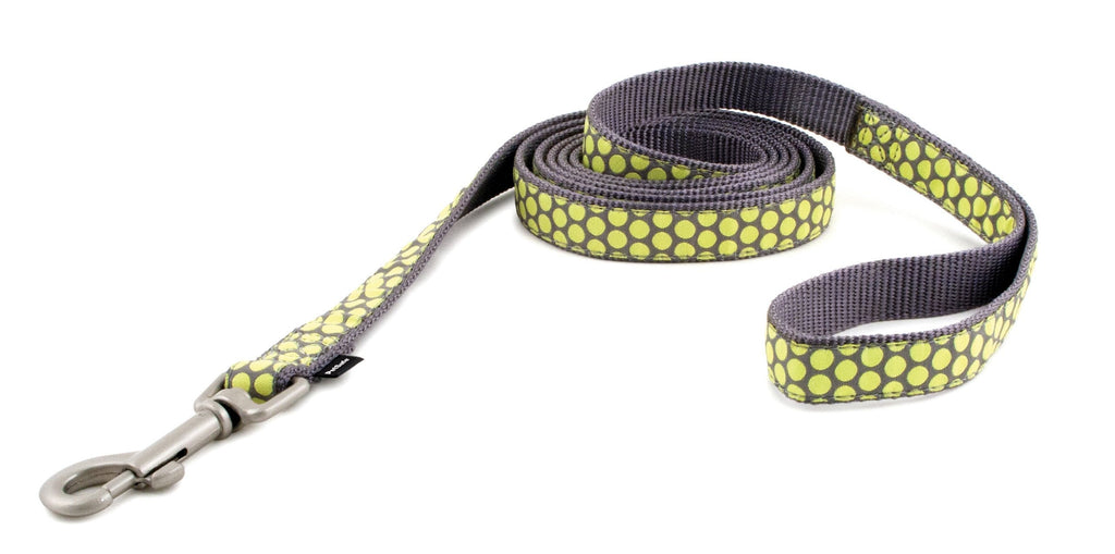 [Australia] - PetSafe Fido Finery Dog Leash, 1/2-Inch by 6-Foot, Dotted Bliss 