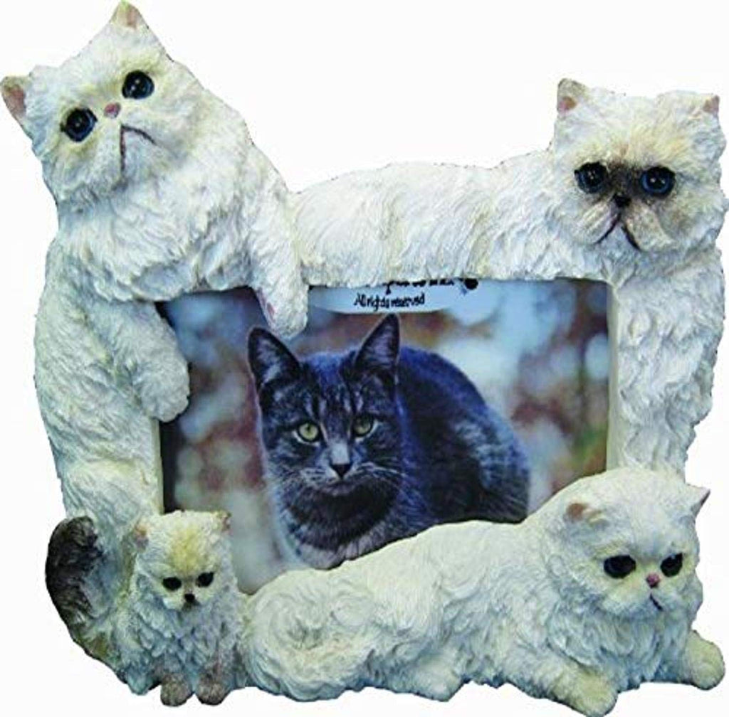 [Australia] - E&S Pets 35297-8 Large Cat Frames 