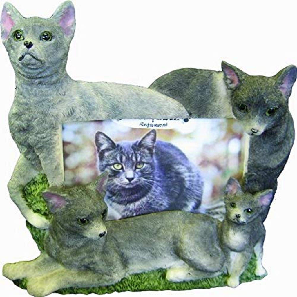 [Australia] - E&S Pets 35297-11 Large Cat Frames 