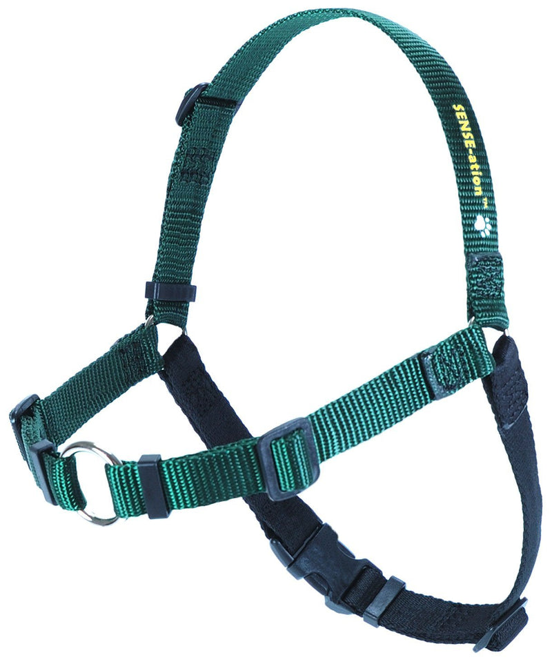 [Australia] - SENSE-ation No-Pull Dog Harness (Green, Medium) by Sense-Ation Harness 