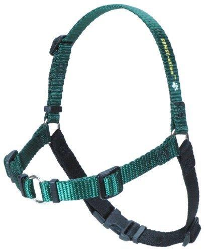 [Australia] - SENSE-ation No-Pull Dog Harness (Green, Small) 