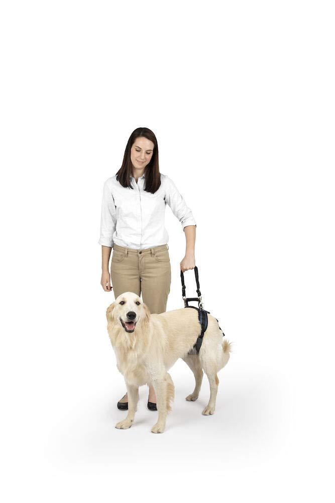 [Australia] - PetSafe Solvit CareLift Lifting Aid Harness for Dogs - Rear Only - Small, Medium, Large 