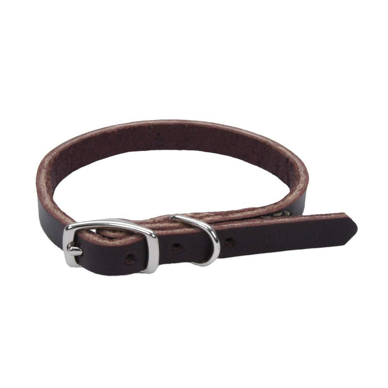 [Australia] - Coastal Pet Products DCP210312 Leather Latigo Dog Collar, 3/8 by 12-Inch 