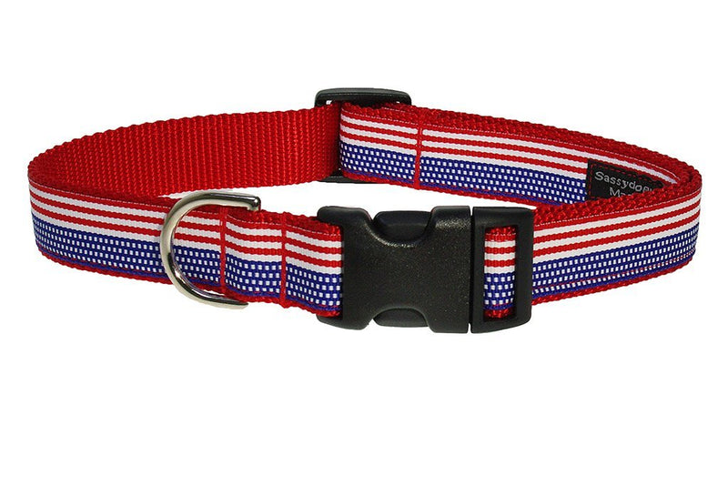 [Australia] - Sassy Dog Wear 13-20-Inch American Flag Dog Collar, Medium 