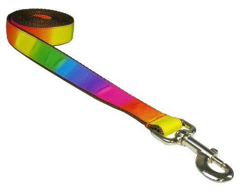 [Australia] - Sassy Dog Wear Dog Leash Medium 