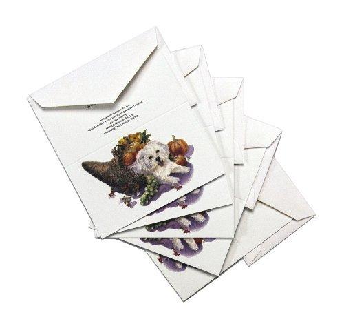 [Australia] - Rainbow Card Company 5-Pack Enclosure Card -  Bounty 