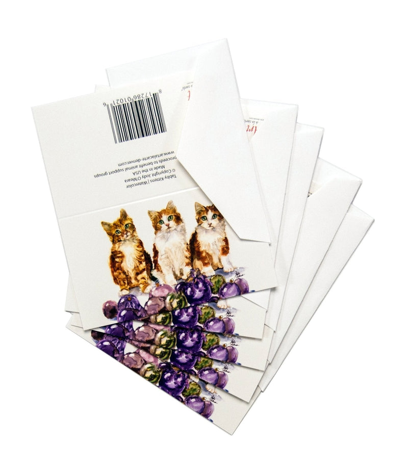 [Australia] - Rainbow Card Company 5-pack Christmas Enclosure Cards - Tabby Kitten 