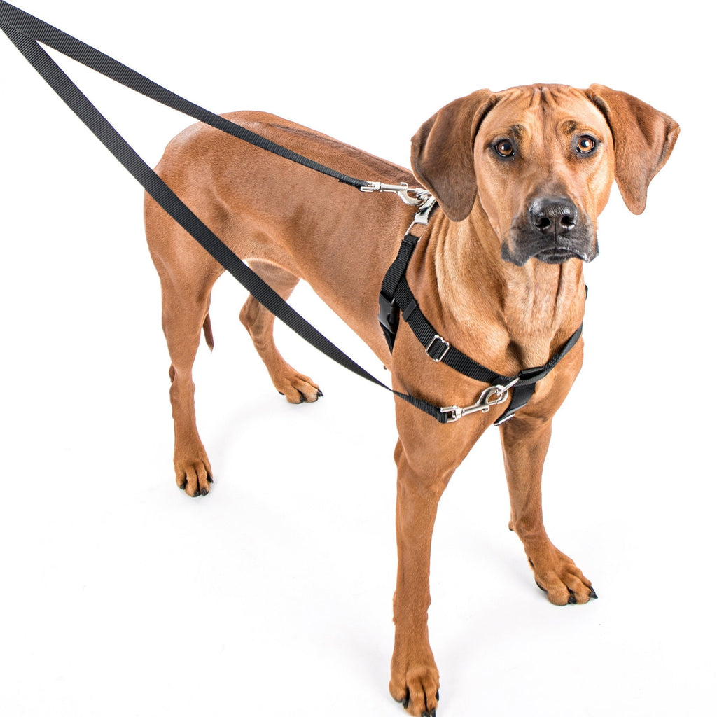 [Australia] - Wiggles Wags Whiskers Freedom No-Pull Dog Harness: Velvet Padding, Multi-Function & USA Made! Lots of Sizes & Colors (Leash Not Included), Medium 5/8" Red 