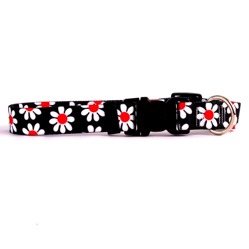 Yellow Dog Design Blue Daisy Dog Collar Extra Small 8" - 12" Black Daisy - PawsPlanet Australia