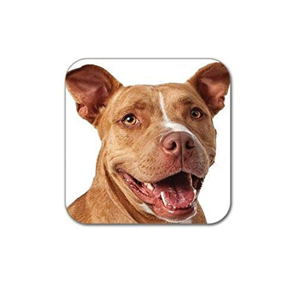 [Australia] - Little Gifts Coasters, Pit Bull 