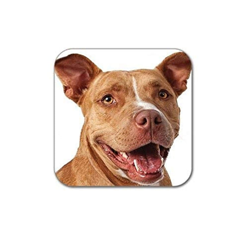 [Australia] - Little Gifts Coasters, Pit Bull 