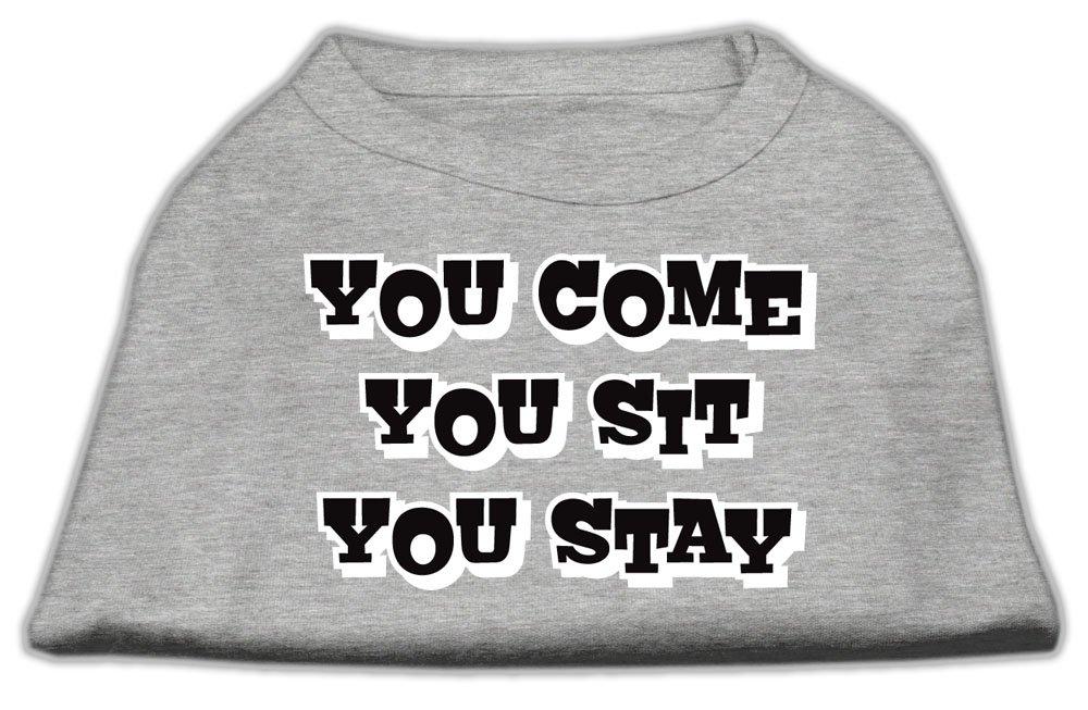 [Australia] - Mirage Pet Products 8-Inch You Come/You Sit/You Stay Screen Print Shirts for Pets, X-Small, Grey 