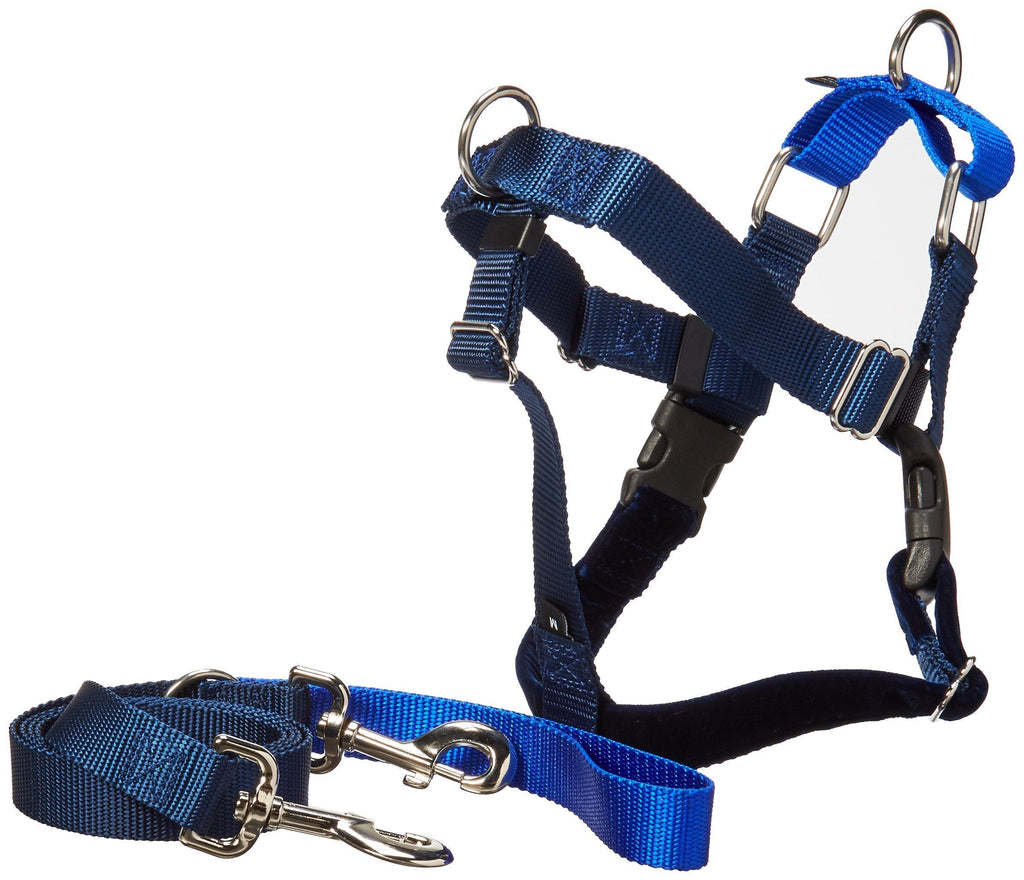 [Australia] - 2 Hounds Design Freedom No Pull Velvet Lined Dog Harness and Leash Training Package Royal Blue Large 