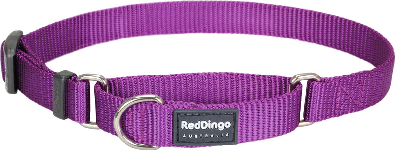 [Australia] - Red Dingo Classic Martingale Dog Collar, Small, Purple 
