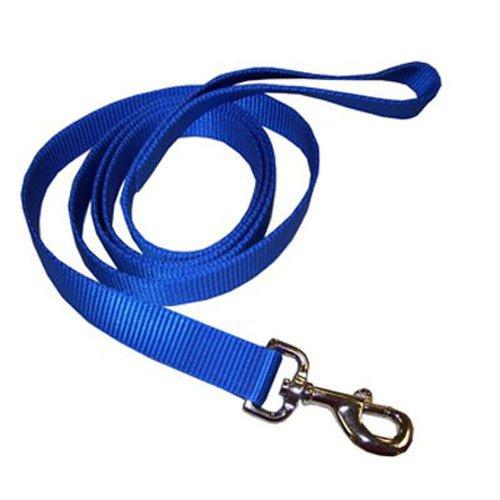 [Australia] - Coastal Pet 00906 B BLU06 Nylon Leash, 1 by 6-Inch, Blue 